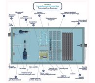 Гринлос Норд 10 - фото 4